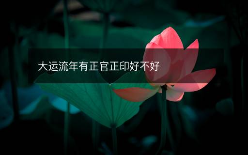 大运流年有正官正印好不好