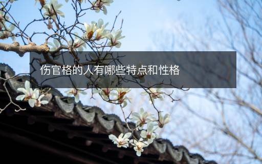 伤官格的人有哪些特点和性格