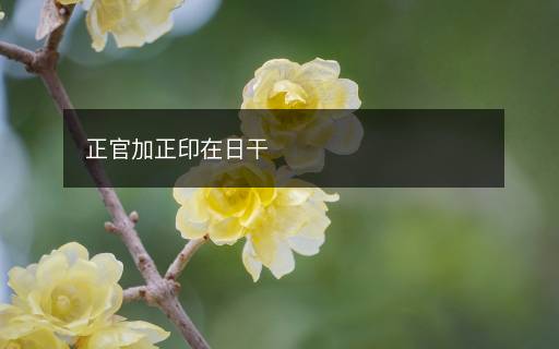 正官加正印在日干 正官加正印在日干