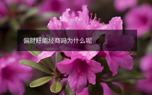 偏财旺能经商吗为什么呢