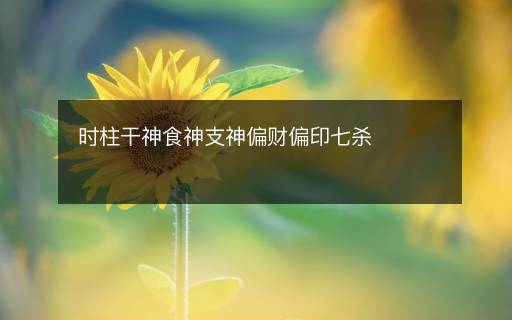 时柱干神食神支神偏财偏印七杀