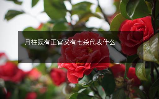 月柱既有正官又有七杀代表什么