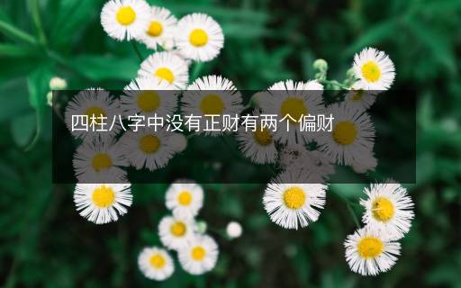 四柱八字中没有正财有两个偏财