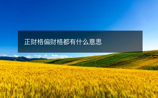 正财格偏财格都有什么意思