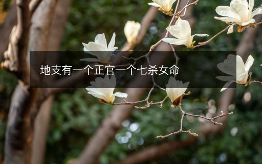 地支有一个正官一个七杀女命