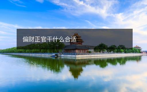 偏财正官干什么合适