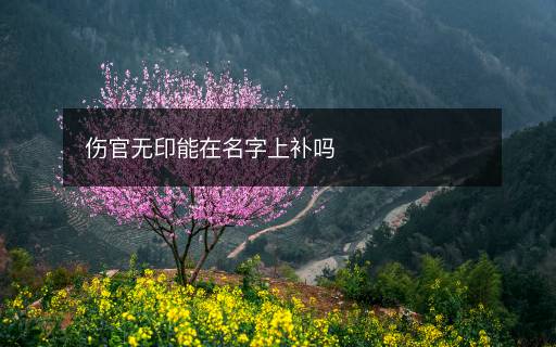 伤官无印能在名字上补吗