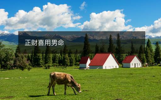 正财喜用男命
