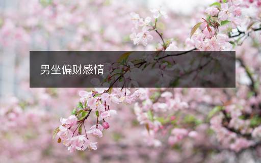 男坐偏财感情