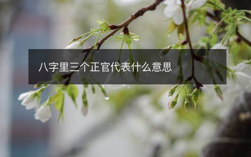 八字里三个正官代表什么意思