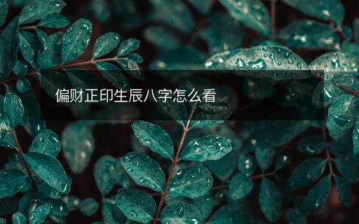 偏财正印生辰八字怎么看