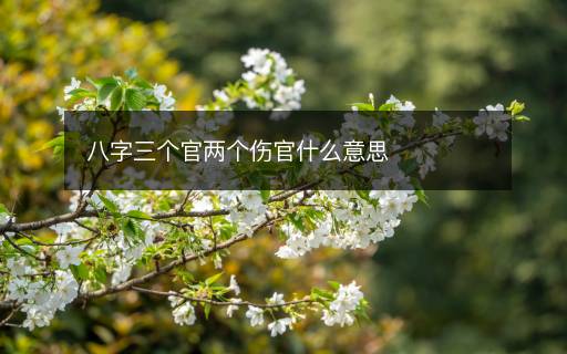 八字三个官两个伤官什么意思