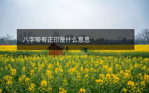 八字带有正印是什么意思 八字带有正印是什么意思