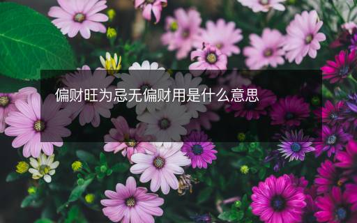 偏财旺为忌无偏财用是什么意思