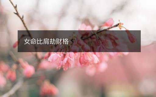 女命比肩劫财格