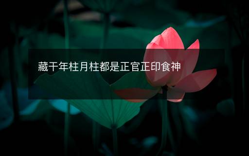 藏干年柱月柱都是正官正印食神