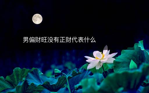 男偏财旺没有正财代表什么
