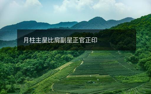 月柱主星比肩副星正官正印
