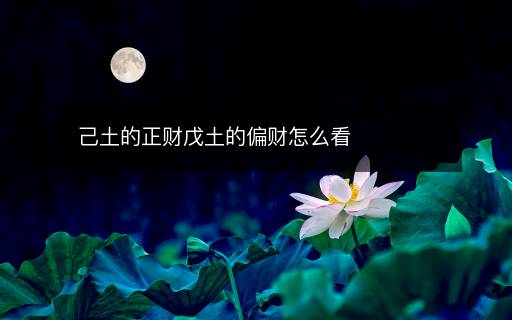 己土的正财戊土的偏财怎么看 己土的正财戊土的偏财怎么看