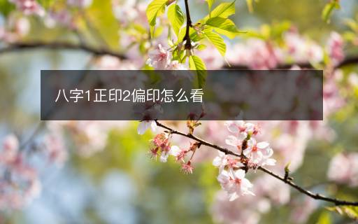 八字1正印2偏印怎么看