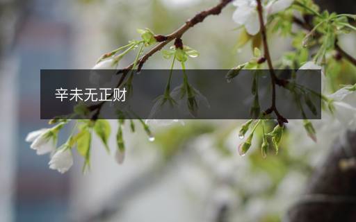 辛未无正财