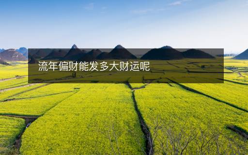 流年偏财能发多大财运呢 流年偏财能发多大财运呢