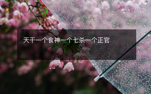 天干一个食神一个七杀一个正官
