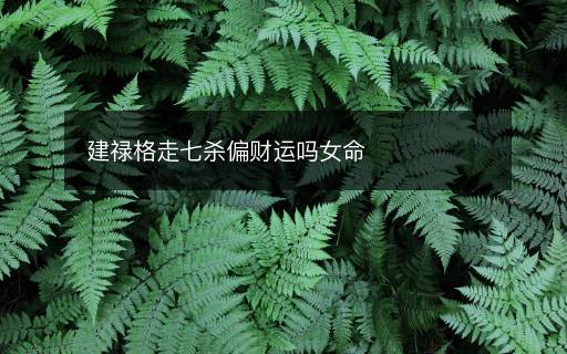 建禄格走七杀偏财运吗女命