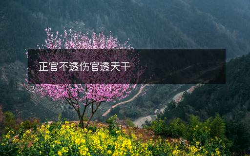正官不透伤官透天干