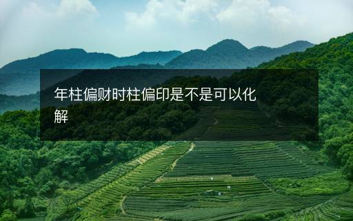 年柱偏财时柱偏印是不是可以化解