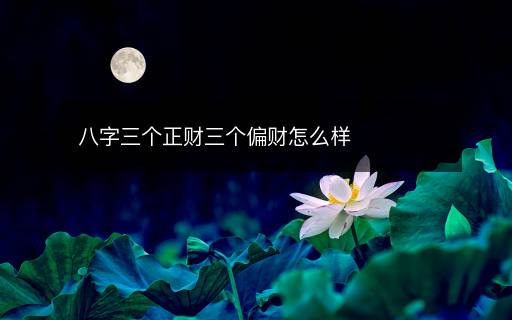 八字三个正财三个偏财怎么样