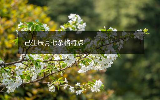 己生辰月七杀格特点