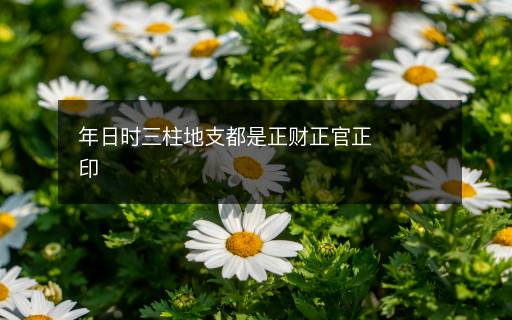 年日时三柱地支都是正财正官正印