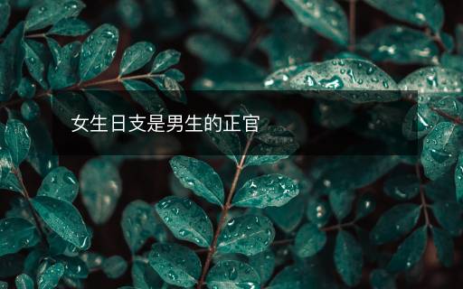 女生日支是男生的正官
