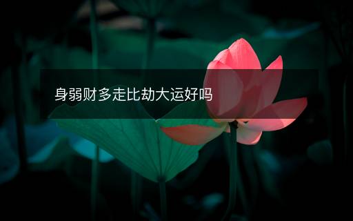身弱财多走比劫大运好吗 身弱财多走比劫大运好吗
