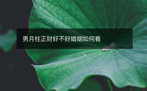 男月柱正财好不好婚姻如何看