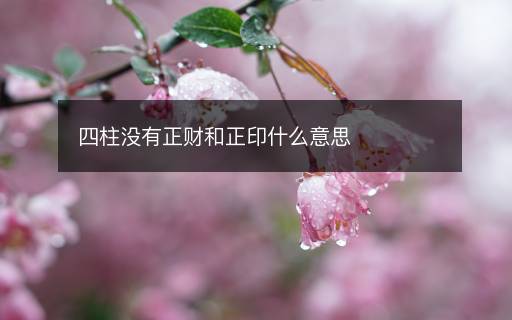 四柱没有正财和正印什么意思