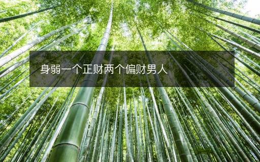 身弱一个正财两个偏财男人