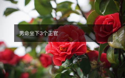 男命坐下3个正官