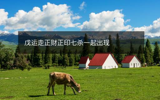 戊运走正财正印七杀一起出现