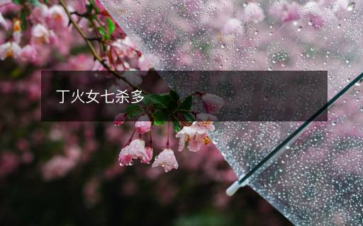 丁火女七杀多