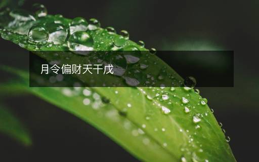 月令偏财天干戊