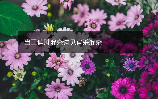 当正偏财混杂遇见官杀混杂 当正偏财混杂遇见官杀混杂