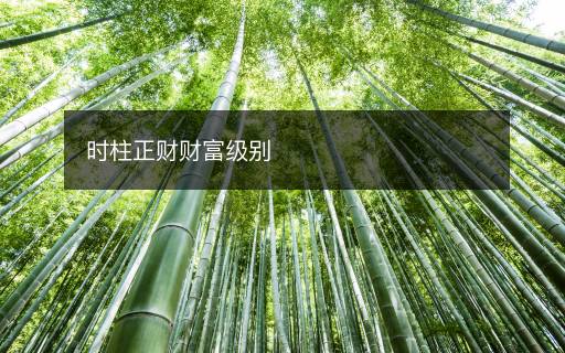 时柱正财财富级别