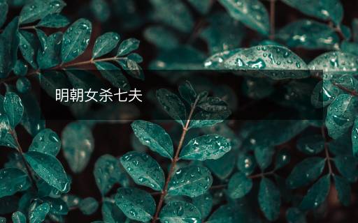明朝女杀七夫