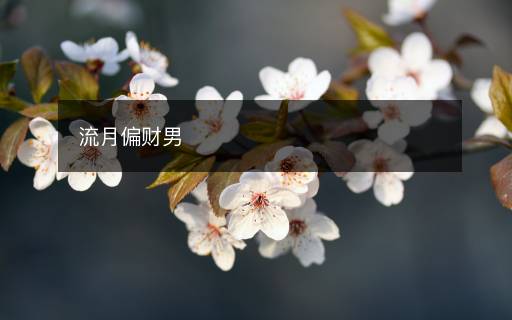 流月偏财男
