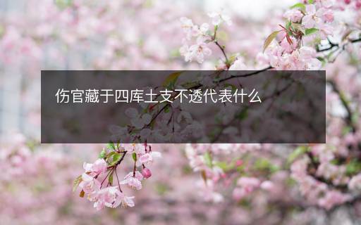 伤官藏于四库土支不透代表什么