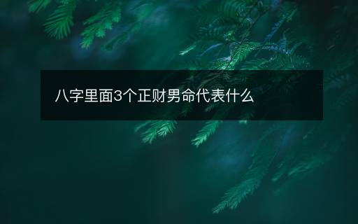 八字里面3个正财男命代表什么 八字里面3个正财男命代表什么