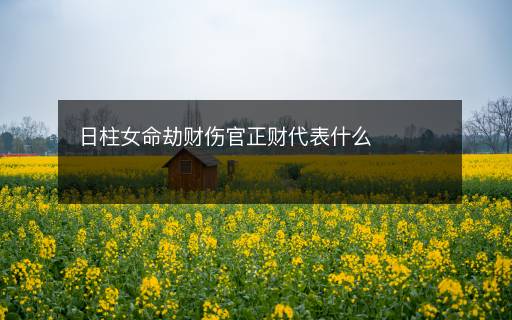 日柱女命劫财伤官正财代表什么