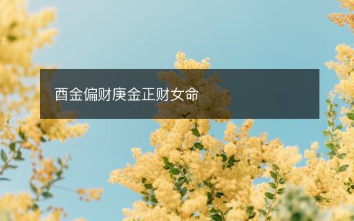 酉金偏财庚金正财女命